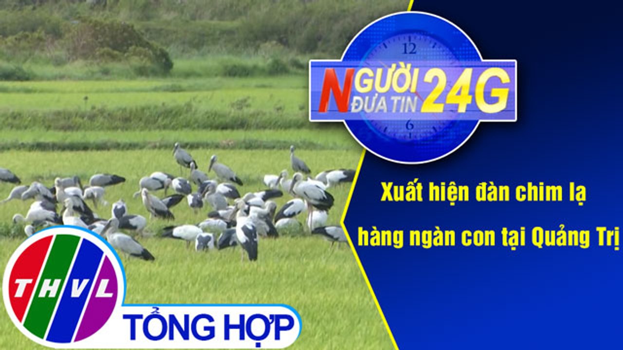 THVL | Người đưa tin 24G (11g ngày 11/07/2019)