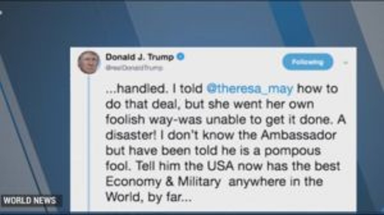 Trump's Provocative Tweets on UK Ambassador
