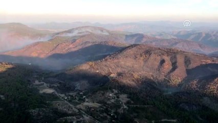 Muğla'daki orman yangını