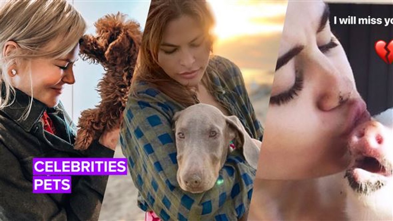 We can totally relate to these celebs and their pet posts