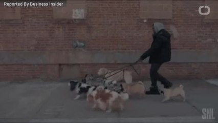 Prince Harry And Meghan Are Looking For A Dog Walker