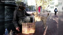 Amid Homeless Crisis, San Francisco Looks To Install High-Tech Smart Garbage Cans