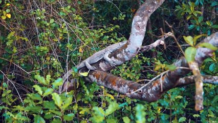 Recap Beautiful Bangladesh Travel Film