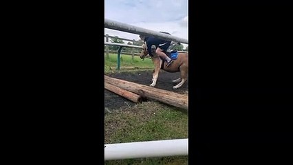 Fail : ce cheval lâche son cavalier face à un petit obstacle !