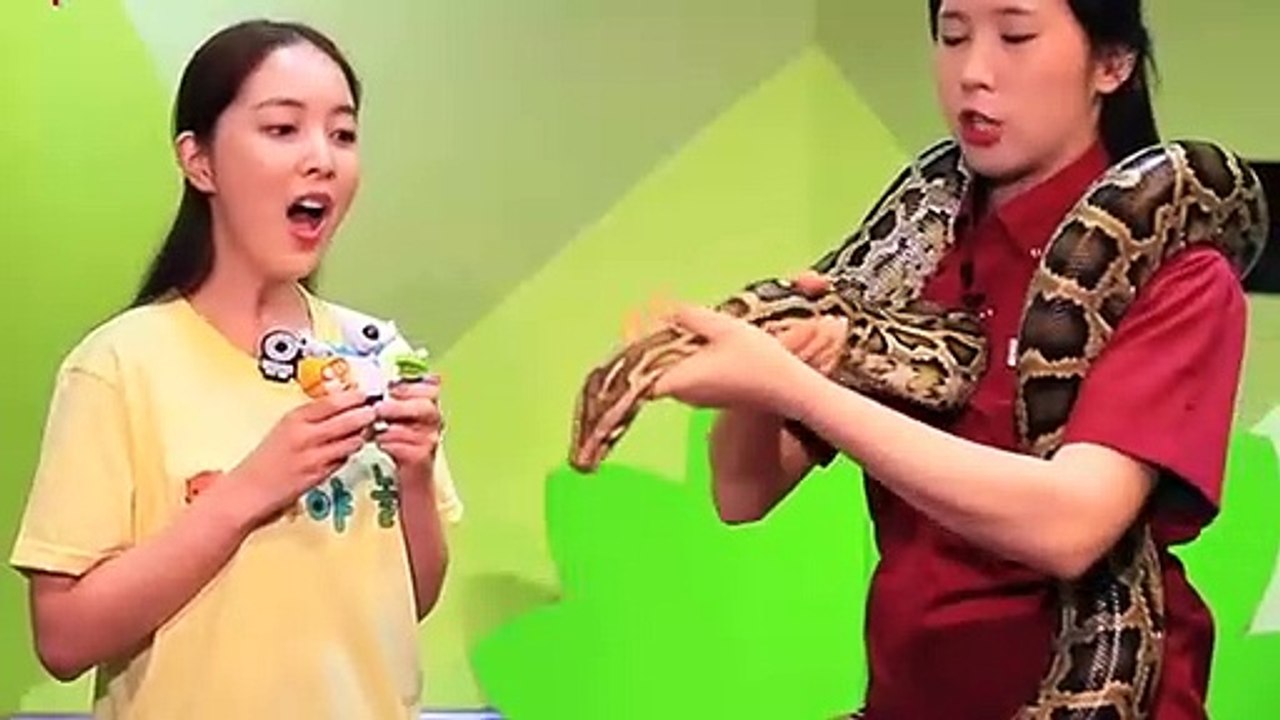 완산구출장안마 -후불100%ョØ1ØE2997E5327｛카톡KC789｝ 완산구전지역출장안마 완산구오피걸 완산구출장마사지 완산구안마 완산구출장마사지 완산구콜걸샵⊙♤℉