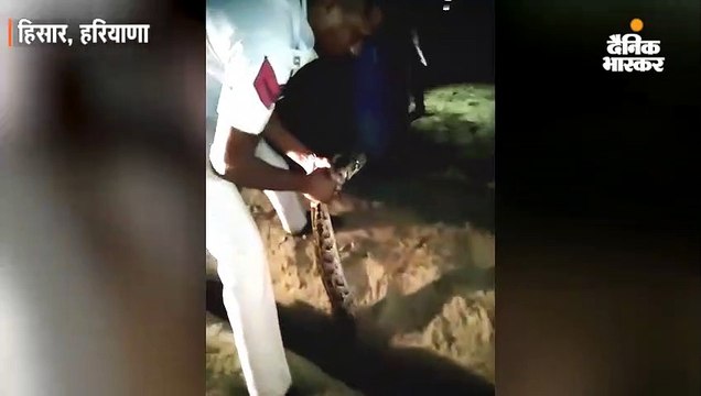 पुलिसकर्मी ने पकड़ा 15 फीट लंबा अजगर, वाह-वाही लूट गई वाइल्ड लाइफ टीम, अब वीडियो हुआ वायरल