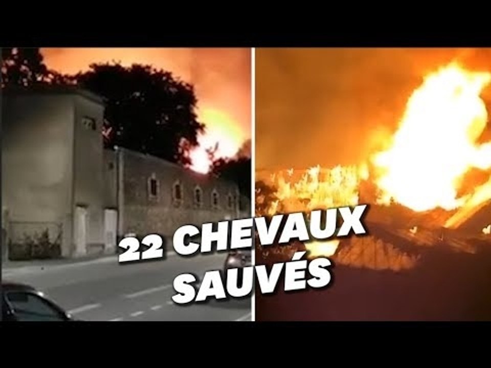 Incendie haras saint lo