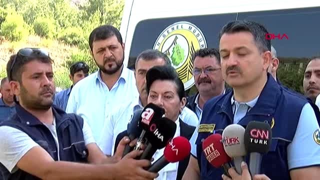 MUĞLA BAKAN PAKDEMİRLİ, ORMAN YANGINI BÖLGESİNDE AÇIKLAMALARDA BULUNDU