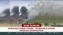 Muğla'daki orman yangını