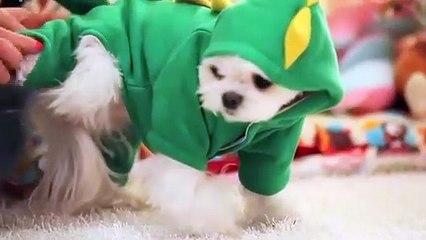 송도출장안마 -후불100%ョØ1ØE2671E8135｛카톡LA369｝ 송도전지역출장안마 송도오피걸 송도출장마사지 송도안마 송도출장마사지 송도콜걸샵おかが