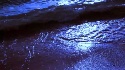 Shaaman Paiyan - Sonu Kakkar (Music - Tony Kakkar)