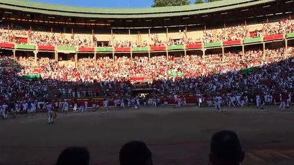 Entrada de los toros a la plaza durante el sexto encierro de San Fermín 2019