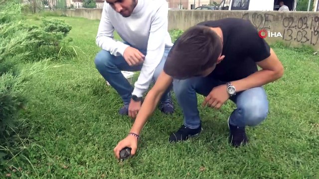 Parkta otururken önlerine ebabil kuşu düştü