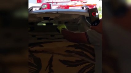 Araca giren yılan korkuttu