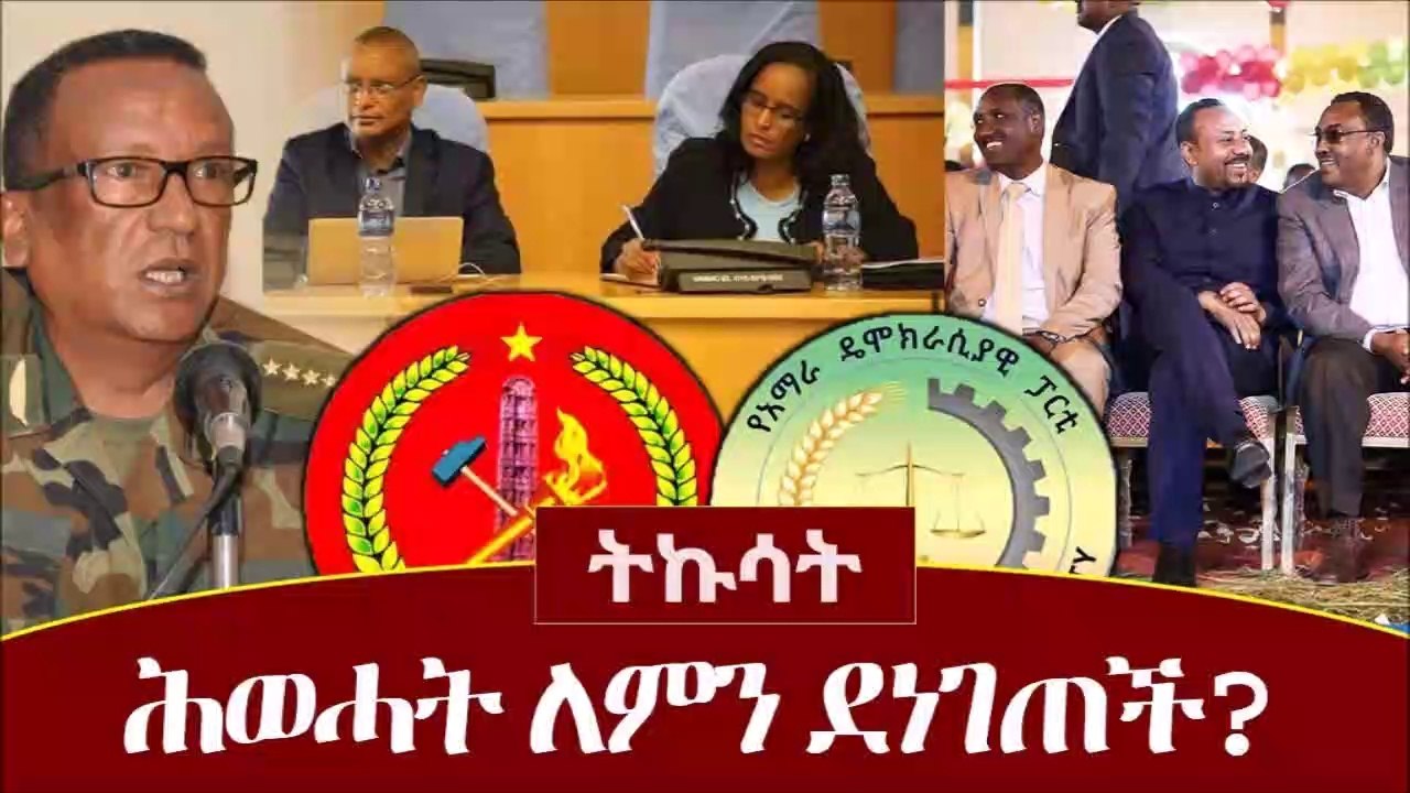 Ethiopia_ ትኩሳት - ሕወሓት ለምን ደነገጠች_ _ TPLF _ ADP _ Dr Abiy Ahmed