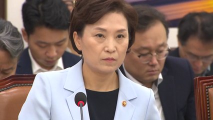 김현미 "분양가 상한제 시행령 준비 중...전매제한 확대 검토" / YTN