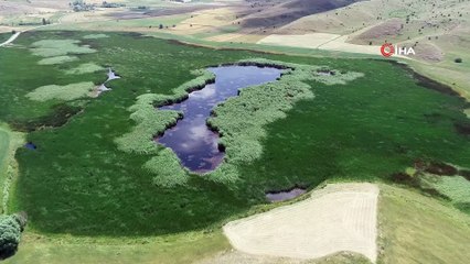 Yok olma tehlikesindeki Kaz Gölü yeniden hayat buldu...Kaz Gölü havadan görüntülendi