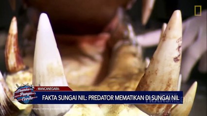 DUNIA PUNYA CERITA - Fakta Sungai Nil-Predator Mematikan Di Sungai Nil
