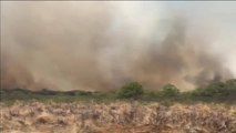 Devastador incendio en Hawái provoca la evacuación de miles de residentes