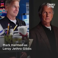 'NCIS' Cast Then and Now