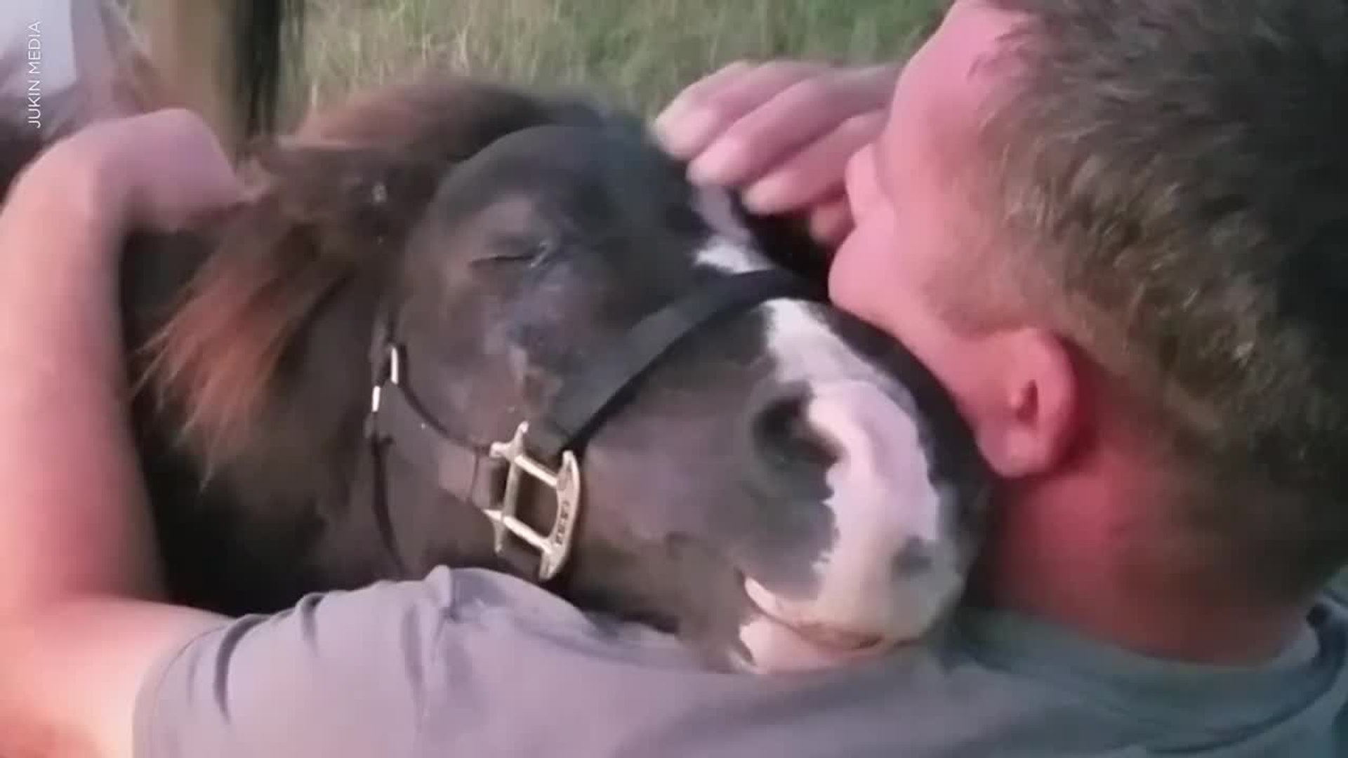 Family Surprises Kids With Rescue Animals