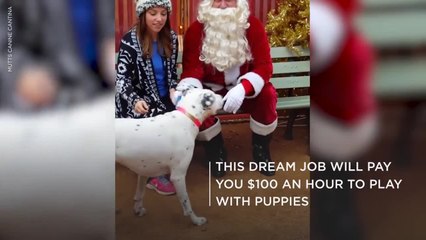 This Dream Job Will Pay You $100 An Hour To Play With Puppies