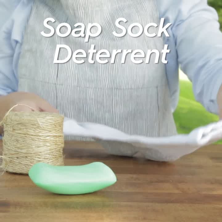 These 3 DIY Deer Repellents Will Keep Hungry Deer Away