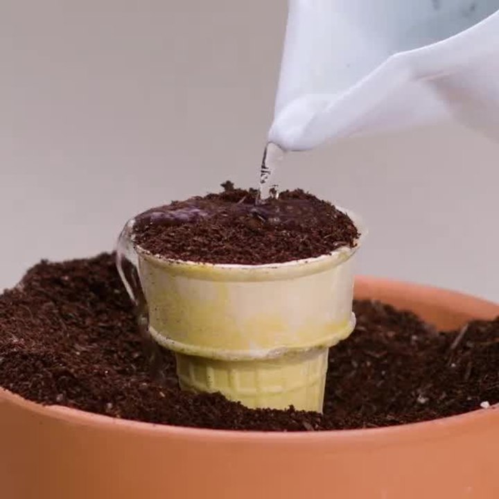 You will wet your plants with these unusual gardening hacks!