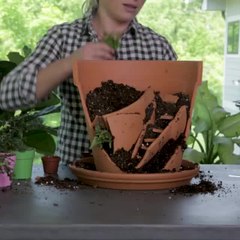 This Brilliant DIY Turns a Broken Pot Into a Fairy Garden