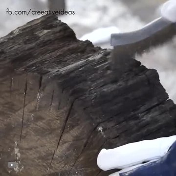 Beautiful Bog Oak Coffee Table
