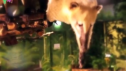 의령출장안마 -후불100%ョØ1ØE2671E8135｛카톡LA369｝ 의령전지역출장안마 의령오피걸 의령출장마사지 의령안마 의령출장마사지 의령콜걸샵※≒℃