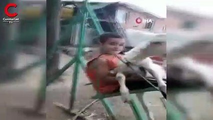 Keçi yavrusuyla salıncakta sallandı