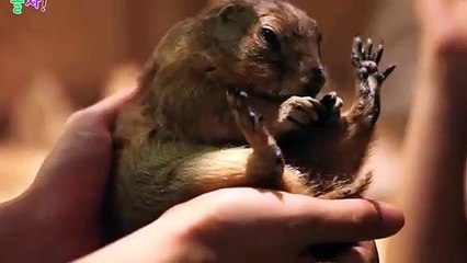 예산출장안마 -후불100%ョØ1ØE2997E5327｛카톡KC789｝ 예산전지역출장안마 예산오피걸 예산출장마사지 예산안마 예산출장마사지 예산콜걸샵ФХЦ