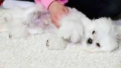 예천출장안마 -후불100%ョØ7ØE7301E9649｛카톡LA666｝ 예천전지역출장안마 예천오피걸 예천출장마사지 예천안마 예천출장마사지 예천콜걸샵きぎく