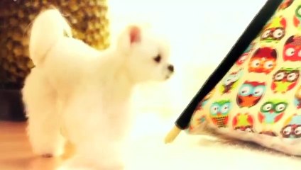 서귀포출장안마 -후불100%ョØ1ØE2659E1768｛카톡KP93｝ 서귀포전지역출장안마 서귀포오피걸 서귀포출장마사지 서귀포안마 서귀포출장마사지 서귀포콜걸샵きぎく