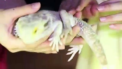 단양출장안마 -후불100%ョØ1ØE7362E3210｛카톡RQ43｝ 단양전지역출장안마 단양오피걸 단양출장마사지 단양안마 단양출장마사지 단양콜걸샵ゆょら