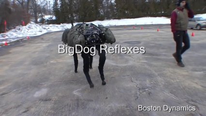 The First Boston Dynamics Video: Big Dog Reflexes