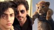 The Lion King Teaser: Shahrukh Khan gets in trouble because of Aryan Khan | FilmiBeat