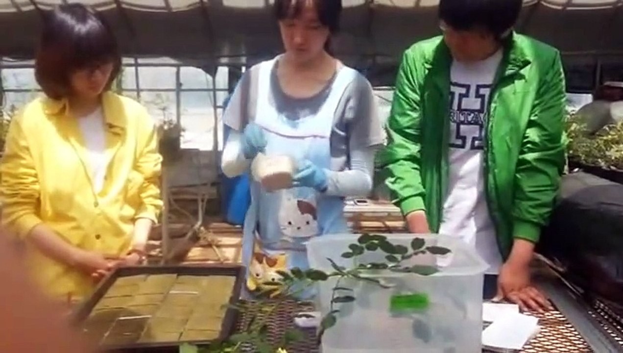 괴산출장안마 -후불100%ョØ1ØE2671E8135｛카톡LA369｝ 괴산전지역출장안마 괴산오피걸 괴산출장마사지 괴산안마 괴산출장마사지 괴산콜걸샵∠⊥≤