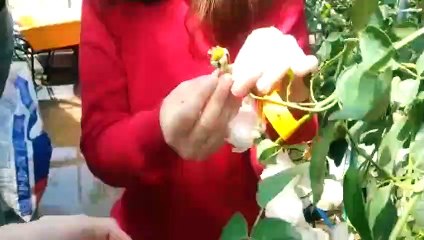 강서출장안마 -후불100%ョØ7ØE7333E9649｛카톡LGT010｝ 강서전지역출장안마 강서오피걸 강서출장마사지 강서안마 강서출장마사지 강서콜걸샵где