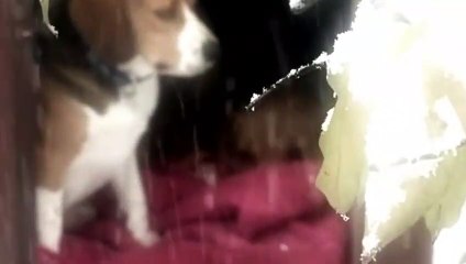 동남구출장안마 -후불100%ョØ7ØE7301E9649｛카톡MOK66} 동남구전지역출장안마 동남구오피걸 동남구출장마사지 동남구안마 동남구출장마사지 동남구콜걸샵⊙◈