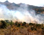 Bodrum'da başlayan yangın yerleşim yerlerini tehdit ediyor