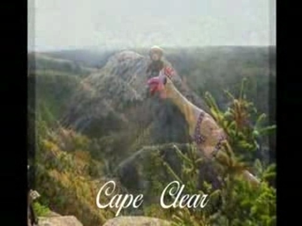 Henrietta's Cape Breton Adventure - a Couple of Chicks