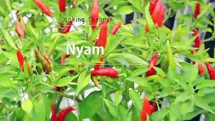 권선출장안마 -후불100%ョØ1ØE2671E8135｛카톡LA369｝ 권선전지역출장안마 권선오피걸 권선출장마사지 권선안마 권선출장마사지 권선콜걸샵プポマ