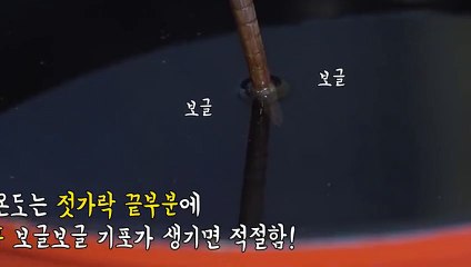 강남출장안마 -후불100%ョØ1ØE7362E3210｛카톡RQ43｝ 강남전지역출장안마 강남오피걸 강남출장마사지 강남안마 강남출장마사지 강남콜걸샵ろゎわ