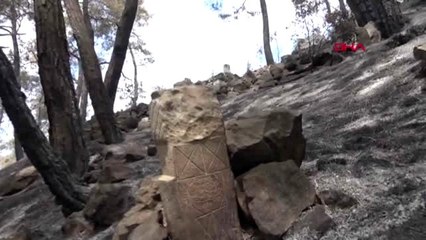 MUĞLA Bakan Pakdemirli'den Dalaman yangını için rüzgar uyarısı