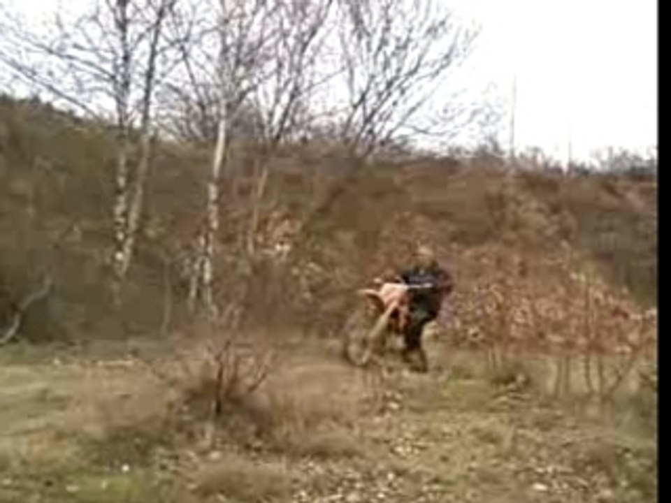 moto cross 125 rm et 250 ktm dirt