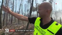 Landes : plus de 150 hectares de pins ravagés par un incendie