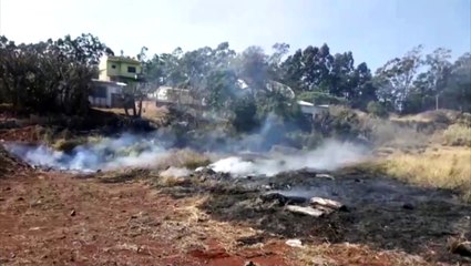 Área de mato pega fogo às margens da Avenida Olindo Periolo