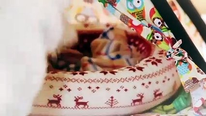 횡성출장안마 -후불100%ョØ7ØS7333S9649｛카톡VV23} 횡성전지역출장안마 횡성오피걸 횡성출장마사지 횡성안마 횡성출장마사지 횡성콜걸샵ゐゑを